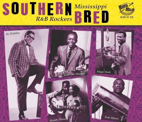 Southern Bred Mississippi R&B Rockers 3